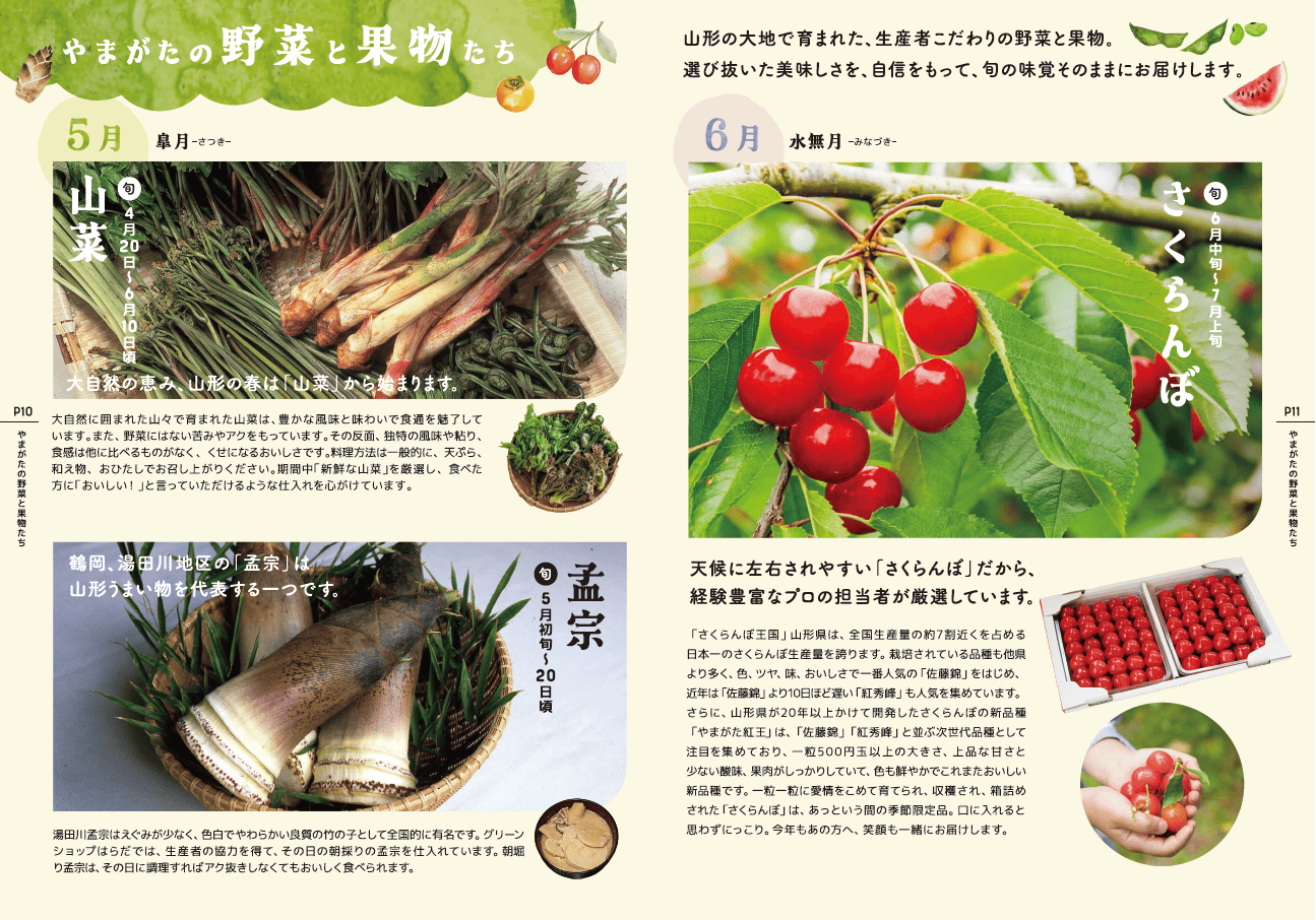 新パンフレットのご紹介｜山形の旬と生産者の想いを一冊に